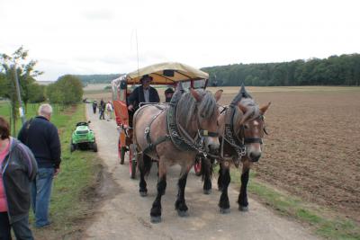 Foto des Albums: LIMES LIVE 2014; Wandern, Kutschfahrten, Ponyreiten