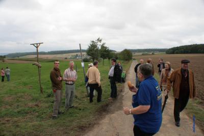 Foto des Albums: LIMES LIVE 2014; Wandern, Kutschfahrten, Ponyreiten