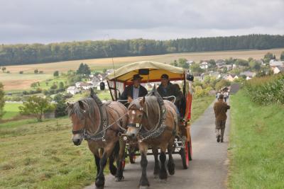 Foto des Albums: LIMES LIVE 2014; Wandern, Kutschfahrten, Ponyreiten