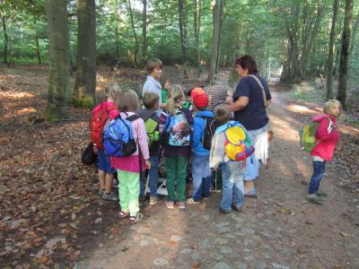 Wie riecht der Wald? 