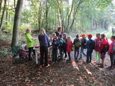 Wir f&uuml;hlen den Wald 