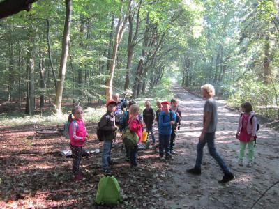 Was geh&ouml;rt nicht in den Wald 