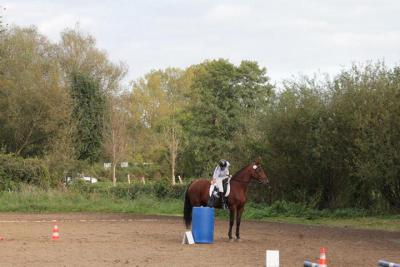 Foto des Albums: 14. Landesbreitensportturnier in Güstrow 