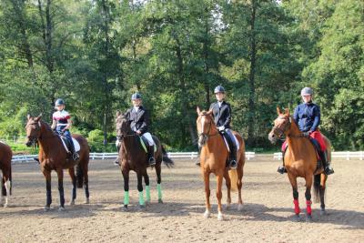 Foto des Albums: 14. Landesbreitensportturnier in Güstrow 