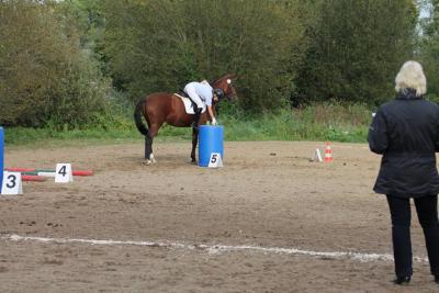 Foto des Albums: 14. Landesbreitensportturnier in Güstrow 