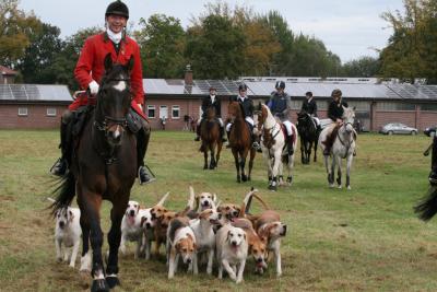Foto des Albums: Friesoyther Jagdtag 2014