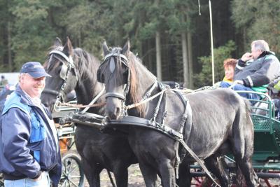 Foto des Albums: Friesoyther Jagdtag 2014
