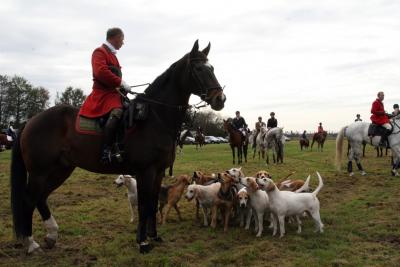 Foto des Albums: Friesoyther Jagdtag 2014