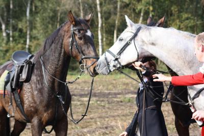 Foto des Albums: Friesoyther Jagdtag 2014
