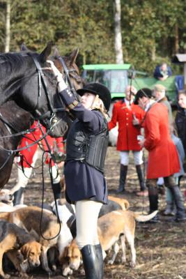 Foto des Albums: Friesoyther Jagdtag 2014