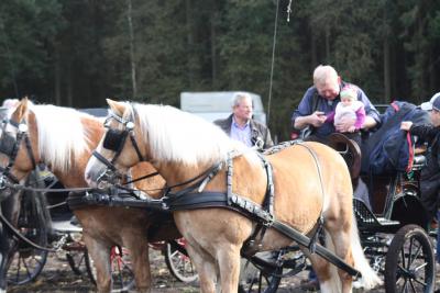 Foto des Albums: Friesoyther Jagdtag 2014