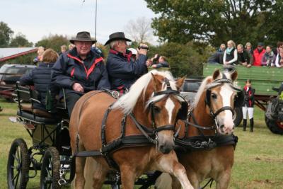 Foto des Albums: Friesoyther Jagdtag 2014