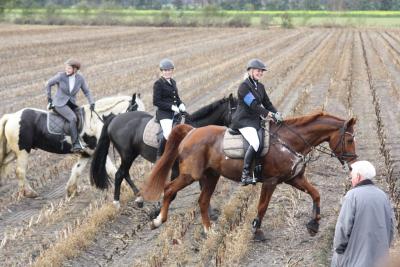 Foto des Albums: Friesoyther Jagdtag 2014