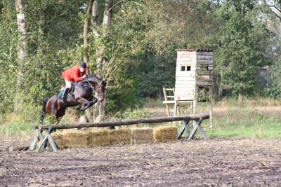 Foto des Albums: Friesoyther Jagdtag 2014