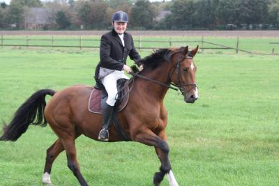 Foto des Albums: Friesoyther Jagdtag 2014