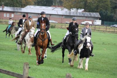 Reiter des 2. Feldes  (Bild vergr&ouml;&szlig;ern)