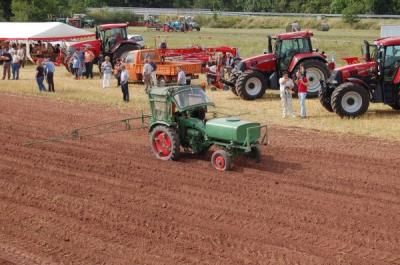 Foto des Albums: Feldtag 2009