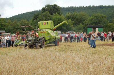 Foto des Albums: Feldtag 2009