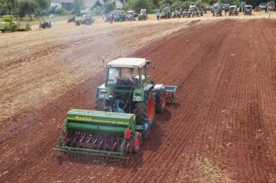 Foto des Albums: Feldtag 2009