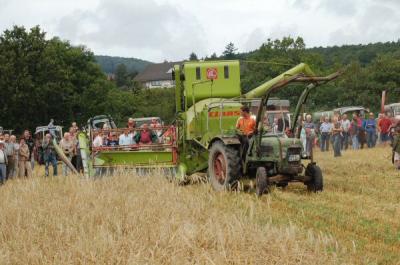 Foto des Albums: Feldtag 2009