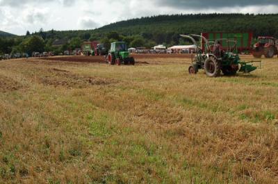 Foto des Albums: Feldtag 2009