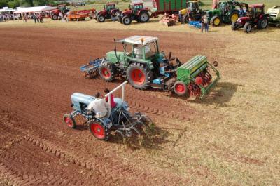 Foto des Albums: Feldtag 2009