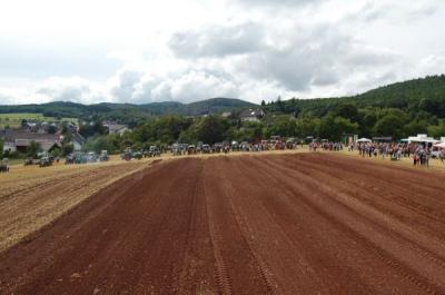 Foto des Albums: Feldtag 2009