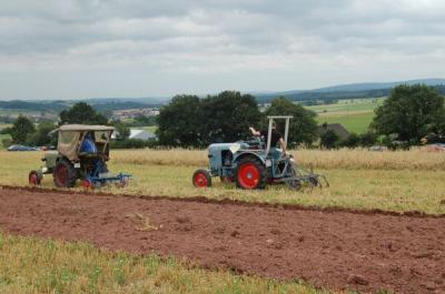 Foto des Albums: Feldtag 2009