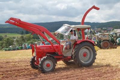 Foto des Albums: Feldtag 2009