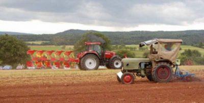 Foto des Albums: Feldtag 2009