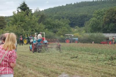 Foto des Albums: Feldtag 2009