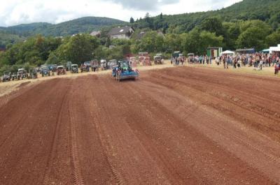 Foto des Albums: Feldtag 2009