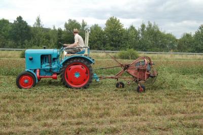 Foto des Albums: Feldtag 2009