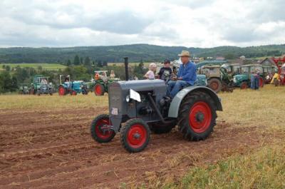 Foto des Albums: Feldtag 2009
