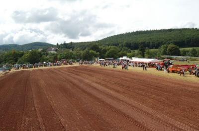 Foto des Albums: Feldtag 2009