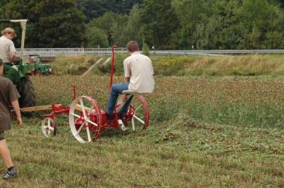Foto des Albums: Feldtag 2009