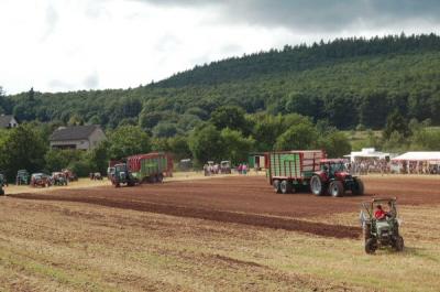 Foto des Albums: Feldtag 2009