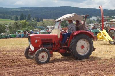 Foto des Albums: Feldtag 2009