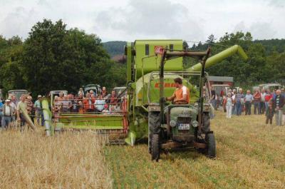 Foto des Albums: Feldtag 2009