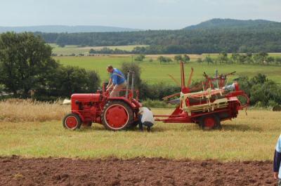 Foto des Albums: Feldtag 2009