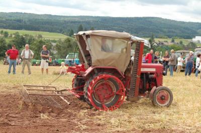 Foto des Albums: Feldtag 2009
