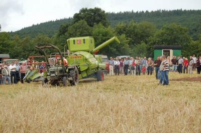 Foto des Albums: Feldtag 2009