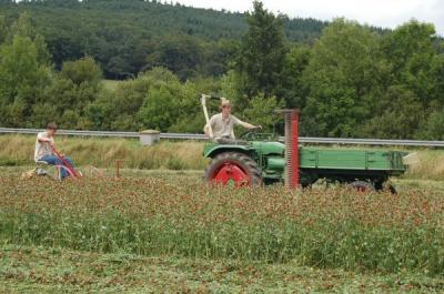 Foto des Albums: Feldtag 2009