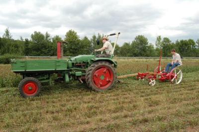Foto des Albums: Feldtag 2009