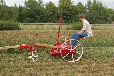 Foto des Albums: Feldtag 2009