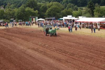 Foto des Albums: Feldtag 2009