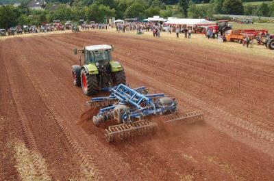 Foto des Albums: Feldtag 2009