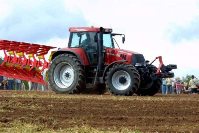 Foto des Albums: Feldtag 2009