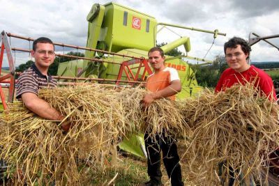 Foto des Albums: Feldtag 2009