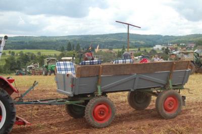 Foto des Albums: Feldtag 2009